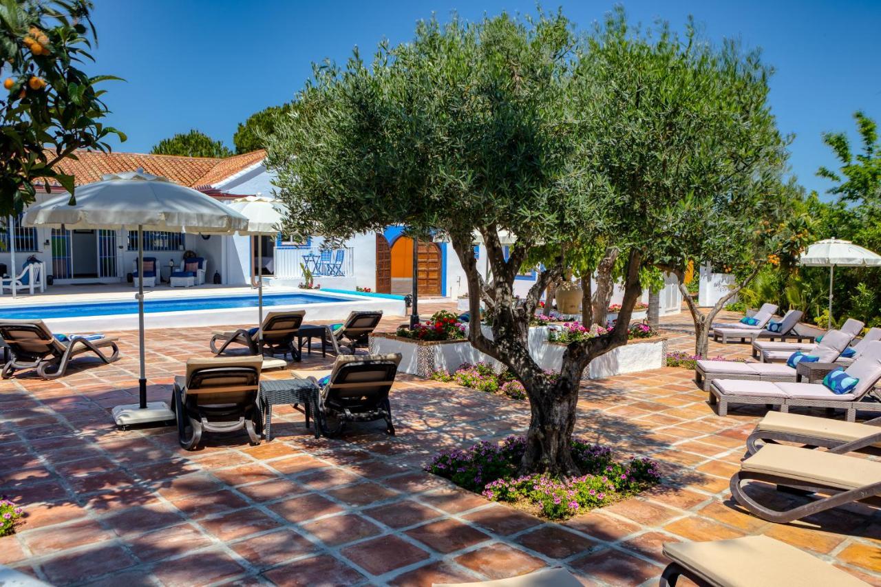 The Palms Boutique Resort Malaga - Adults Only อาเลาริน เดลา ตอร์เร ภายนอก รูปภาพ
